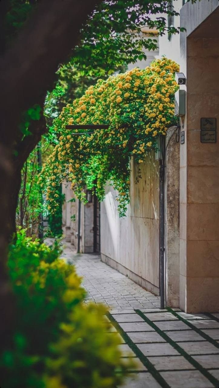 How Embracing Nature’s Seasons Can Transform Your Life and Well-Being&nbsp;!!