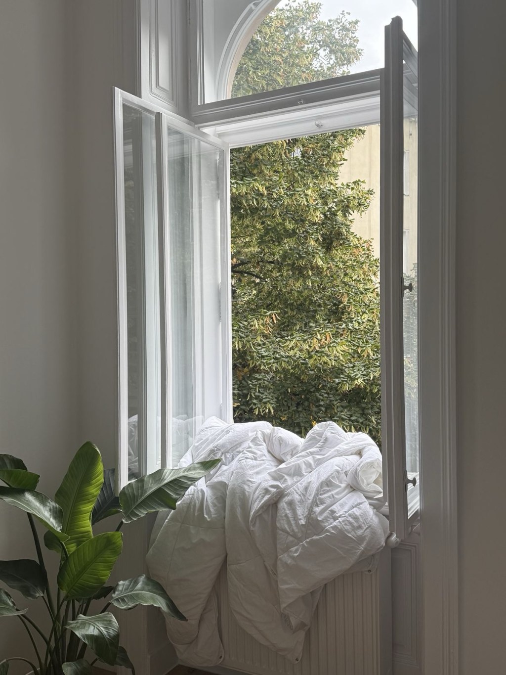 Spring Reset: Body, Mind, Soul… and Yes, the House Too&nbsp;🌼